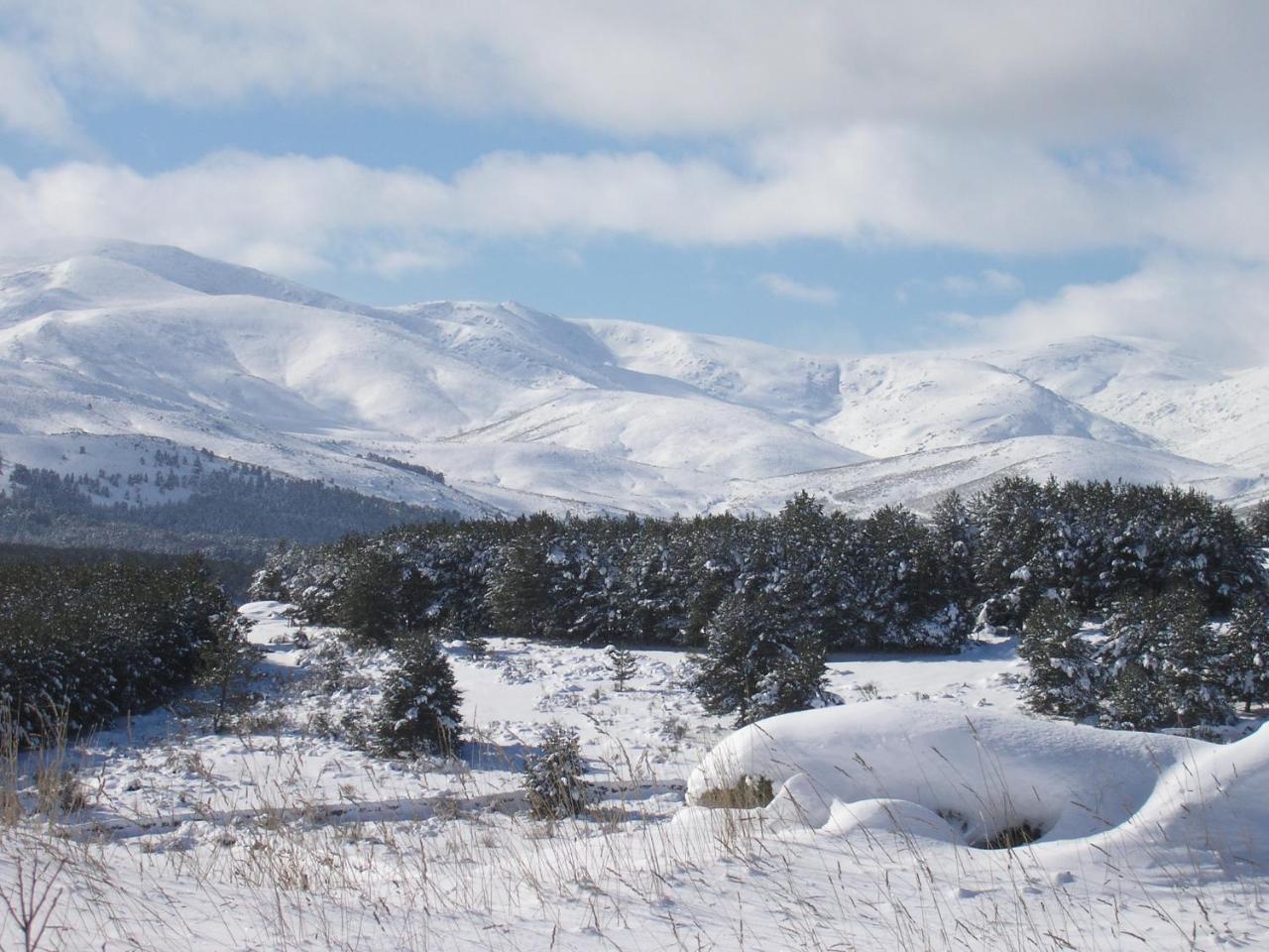 Tinao De Gredos Villa Barajas de Gredos Ngoại thất bức ảnh