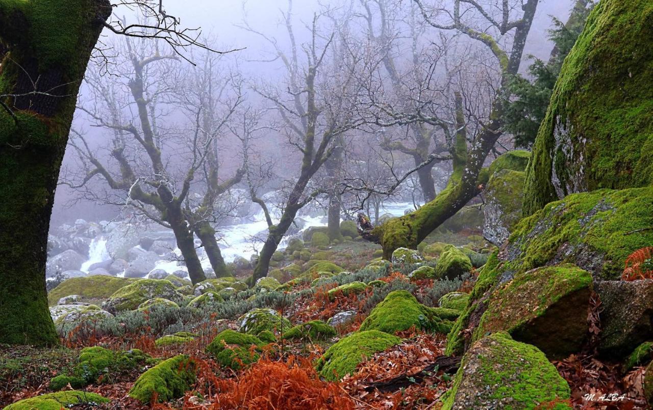 Tinao De Gredos Villa Barajas de Gredos Ngoại thất bức ảnh